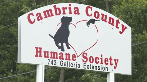 Cambria county humane society - The Humane Society of Cambria County really needs your help. We have been at full capacity now for several months. It is not because we are not adopting, we are doing a great job finding homes, it...